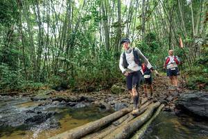 BIB: 
                            <button type="button" onclick="openModal(26455566)" class="btn btn-primary btn-sm float-right btn-popup" data-toggle="modal" data-target=".modal-high-quality">
                        <i class="fas fa-shopping-cart"></i> Add to Cart
                    </button>
                                            <button type="button" onclick="isThisMe(26455566, true)" class="btn btn-success btn-sm float-right btn-popup btn-isme hidden" data-toggle="tooltip" data-placement="bottom" title="นี่คือรูปของคุณใช่ไหม คลิกที่นี่เพื่อเอาเข้าอัลบั้ม">
                        <i class="fas fa-plus"></i> Add to album
                    </button>
                    <button type="button" onclick="isThisMe(26455566, false)" class="btn btn-warning btn-sm float-right btn-popup btn-isnotme hidden">
                        <i class="fas fa-ban"></i> Remove from album
                    </button>