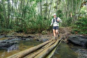 BIB: 
                            <button type="button" onclick="openModal(26501530)" class="btn btn-primary btn-sm float-right btn-popup" data-toggle="modal" data-target=".modal-high-quality">
                        <i class="fas fa-shopping-cart"></i> Add to Cart
                    </button>
                                            <button type="button" onclick="isThisMe(26501530, true)" class="btn btn-success btn-sm float-right btn-popup btn-isme hidden" data-toggle="tooltip" data-placement="bottom" title="นี่คือรูปของคุณใช่ไหม คลิกที่นี่เพื่อเอาเข้าอัลบั้ม">
                        <i class="fas fa-plus"></i> Add to album
                    </button>
                    <button type="button" onclick="isThisMe(26501530, false)" class="btn btn-warning btn-sm float-right btn-popup btn-isnotme hidden">
                        <i class="fas fa-ban"></i> Remove from album
                    </button>