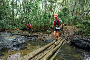 BIB: 
                            <button type="button" onclick="openModal(26501770)" class="btn btn-primary btn-sm float-right btn-popup" data-toggle="modal" data-target=".modal-high-quality">
                        <i class="fas fa-shopping-cart"></i> Add to Cart
                    </button>
                                            <button type="button" onclick="isThisMe(26501770, true)" class="btn btn-success btn-sm float-right btn-popup btn-isme hidden" data-toggle="tooltip" data-placement="bottom" title="นี่คือรูปของคุณใช่ไหม คลิกที่นี่เพื่อเอาเข้าอัลบั้ม">
                        <i class="fas fa-plus"></i> Add to album
                    </button>
                    <button type="button" onclick="isThisMe(26501770, false)" class="btn btn-warning btn-sm float-right btn-popup btn-isnotme hidden">
                        <i class="fas fa-ban"></i> Remove from album
                    </button>