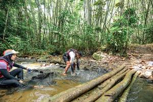 BIB: 
                            <button type="button" onclick="openModal(26447704)" class="btn btn-primary btn-sm float-right btn-popup" data-toggle="modal" data-target=".modal-high-quality">
                        <i class="fas fa-shopping-cart"></i> Add to Cart
                    </button>
                                            <button type="button" onclick="isThisMe(26447704, true)" class="btn btn-success btn-sm float-right btn-popup btn-isme hidden" data-toggle="tooltip" data-placement="bottom" title="นี่คือรูปของคุณใช่ไหม คลิกที่นี่เพื่อเอาเข้าอัลบั้ม">
                        <i class="fas fa-plus"></i> Add to album
                    </button>
                    <button type="button" onclick="isThisMe(26447704, false)" class="btn btn-warning btn-sm float-right btn-popup btn-isnotme hidden">
                        <i class="fas fa-ban"></i> Remove from album
                    </button>