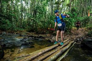 BIB: 
                            <button type="button" onclick="openModal(26505075)" class="btn btn-primary btn-sm float-right btn-popup" data-toggle="modal" data-target=".modal-high-quality">
                        <i class="fas fa-shopping-cart"></i> Add to Cart
                    </button>
                                            <button type="button" onclick="isThisMe(26505075, true)" class="btn btn-success btn-sm float-right btn-popup btn-isme hidden" data-toggle="tooltip" data-placement="bottom" title="นี่คือรูปของคุณใช่ไหม คลิกที่นี่เพื่อเอาเข้าอัลบั้ม">
                        <i class="fas fa-plus"></i> Add to album
                    </button>
                    <button type="button" onclick="isThisMe(26505075, false)" class="btn btn-warning btn-sm float-right btn-popup btn-isnotme hidden">
                        <i class="fas fa-ban"></i> Remove from album
                    </button>