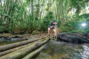 BIB: 
                            <button type="button" onclick="openModal(26440601)" class="btn btn-primary btn-sm float-right btn-popup" data-toggle="modal" data-target=".modal-high-quality">
                        <i class="fas fa-shopping-cart"></i> Add to Cart
                    </button>
                                            <button type="button" onclick="isThisMe(26440601, true)" class="btn btn-success btn-sm float-right btn-popup btn-isme hidden" data-toggle="tooltip" data-placement="bottom" title="นี่คือรูปของคุณใช่ไหม คลิกที่นี่เพื่อเอาเข้าอัลบั้ม">
                        <i class="fas fa-plus"></i> Add to album
                    </button>
                    <button type="button" onclick="isThisMe(26440601, false)" class="btn btn-warning btn-sm float-right btn-popup btn-isnotme hidden">
                        <i class="fas fa-ban"></i> Remove from album
                    </button>