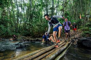 BIB: 
                            <button type="button" onclick="openModal(26490415)" class="btn btn-primary btn-sm float-right btn-popup" data-toggle="modal" data-target=".modal-high-quality">
                        <i class="fas fa-shopping-cart"></i> Add to Cart
                    </button>
                                            <button type="button" onclick="isThisMe(26490415, true)" class="btn btn-success btn-sm float-right btn-popup btn-isme hidden" data-toggle="tooltip" data-placement="bottom" title="นี่คือรูปของคุณใช่ไหม คลิกที่นี่เพื่อเอาเข้าอัลบั้ม">
                        <i class="fas fa-plus"></i> Add to album
                    </button>
                    <button type="button" onclick="isThisMe(26490415, false)" class="btn btn-warning btn-sm float-right btn-popup btn-isnotme hidden">
                        <i class="fas fa-ban"></i> Remove from album
                    </button>