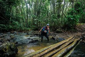 BIB: 
                            <button type="button" onclick="openModal(26495455)" class="btn btn-primary btn-sm float-right btn-popup" data-toggle="modal" data-target=".modal-high-quality">
                        <i class="fas fa-shopping-cart"></i> Add to Cart
                    </button>
                                            <button type="button" onclick="isThisMe(26495455, true)" class="btn btn-success btn-sm float-right btn-popup btn-isme hidden" data-toggle="tooltip" data-placement="bottom" title="นี่คือรูปของคุณใช่ไหม คลิกที่นี่เพื่อเอาเข้าอัลบั้ม">
                        <i class="fas fa-plus"></i> Add to album
                    </button>
                    <button type="button" onclick="isThisMe(26495455, false)" class="btn btn-warning btn-sm float-right btn-popup btn-isnotme hidden">
                        <i class="fas fa-ban"></i> Remove from album
                    </button>