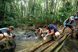 BIB: 
                            <button type="button" onclick="openModal(26434463)" class="btn btn-primary btn-sm float-right btn-popup" data-toggle="modal" data-target=".modal-high-quality">
                        <i class="fas fa-shopping-cart"></i> Add to Cart
                    </button>
                                            <button type="button" onclick="isThisMe(26434463, true)" class="btn btn-success btn-sm float-right btn-popup btn-isme hidden" data-toggle="tooltip" data-placement="bottom" title="นี่คือรูปของคุณใช่ไหม คลิกที่นี่เพื่อเอาเข้าอัลบั้ม">
                        <i class="fas fa-plus"></i> Add to album
                    </button>
                    <button type="button" onclick="isThisMe(26434463, false)" class="btn btn-warning btn-sm float-right btn-popup btn-isnotme hidden">
                        <i class="fas fa-ban"></i> Remove from album
                    </button>