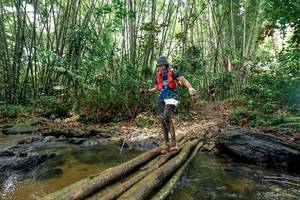 BIB: 
                            <button type="button" onclick="openModal(26466719)" class="btn btn-primary btn-sm float-right btn-popup" data-toggle="modal" data-target=".modal-high-quality">
                        <i class="fas fa-shopping-cart"></i> Add to Cart
                    </button>
                                            <button type="button" onclick="isThisMe(26466719, true)" class="btn btn-success btn-sm float-right btn-popup btn-isme hidden" data-toggle="tooltip" data-placement="bottom" title="นี่คือรูปของคุณใช่ไหม คลิกที่นี่เพื่อเอาเข้าอัลบั้ม">
                        <i class="fas fa-plus"></i> Add to album
                    </button>
                    <button type="button" onclick="isThisMe(26466719, false)" class="btn btn-warning btn-sm float-right btn-popup btn-isnotme hidden">
                        <i class="fas fa-ban"></i> Remove from album
                    </button>