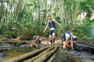 BIB: 
                            <button type="button" onclick="openModal(26466045)" class="btn btn-primary btn-sm float-right btn-popup" data-toggle="modal" data-target=".modal-high-quality">
                        <i class="fas fa-shopping-cart"></i> Add to Cart
                    </button>
                                            <button type="button" onclick="isThisMe(26466045, true)" class="btn btn-success btn-sm float-right btn-popup btn-isme hidden" data-toggle="tooltip" data-placement="bottom" title="นี่คือรูปของคุณใช่ไหม คลิกที่นี่เพื่อเอาเข้าอัลบั้ม">
                        <i class="fas fa-plus"></i> Add to album
                    </button>
                    <button type="button" onclick="isThisMe(26466045, false)" class="btn btn-warning btn-sm float-right btn-popup btn-isnotme hidden">
                        <i class="fas fa-ban"></i> Remove from album
                    </button>