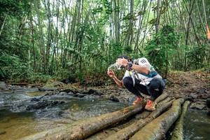 BIB: 
                            <button type="button" onclick="openModal(26500753)" class="btn btn-primary btn-sm float-right btn-popup" data-toggle="modal" data-target=".modal-high-quality">
                        <i class="fas fa-shopping-cart"></i> Add to Cart
                    </button>
                                            <button type="button" onclick="isThisMe(26500753, true)" class="btn btn-success btn-sm float-right btn-popup btn-isme hidden" data-toggle="tooltip" data-placement="bottom" title="นี่คือรูปของคุณใช่ไหม คลิกที่นี่เพื่อเอาเข้าอัลบั้ม">
                        <i class="fas fa-plus"></i> Add to album
                    </button>
                    <button type="button" onclick="isThisMe(26500753, false)" class="btn btn-warning btn-sm float-right btn-popup btn-isnotme hidden">
                        <i class="fas fa-ban"></i> Remove from album
                    </button>