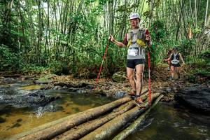 BIB: 
                            <button type="button" onclick="openModal(26503605)" class="btn btn-primary btn-sm float-right btn-popup" data-toggle="modal" data-target=".modal-high-quality">
                        <i class="fas fa-shopping-cart"></i> Add to Cart
                    </button>
                                            <button type="button" onclick="isThisMe(26503605, true)" class="btn btn-success btn-sm float-right btn-popup btn-isme hidden" data-toggle="tooltip" data-placement="bottom" title="นี่คือรูปของคุณใช่ไหม คลิกที่นี่เพื่อเอาเข้าอัลบั้ม">
                        <i class="fas fa-plus"></i> Add to album
                    </button>
                    <button type="button" onclick="isThisMe(26503605, false)" class="btn btn-warning btn-sm float-right btn-popup btn-isnotme hidden">
                        <i class="fas fa-ban"></i> Remove from album
                    </button>