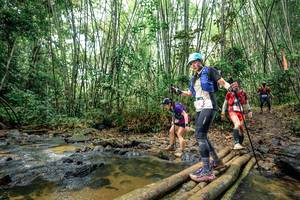 BIB: 
                            <button type="button" onclick="openModal(26452534)" class="btn btn-primary btn-sm float-right btn-popup" data-toggle="modal" data-target=".modal-high-quality">
                        <i class="fas fa-shopping-cart"></i> Add to Cart
                    </button>
                                            <button type="button" onclick="isThisMe(26452534, true)" class="btn btn-success btn-sm float-right btn-popup btn-isme hidden" data-toggle="tooltip" data-placement="bottom" title="นี่คือรูปของคุณใช่ไหม คลิกที่นี่เพื่อเอาเข้าอัลบั้ม">
                        <i class="fas fa-plus"></i> Add to album
                    </button>
                    <button type="button" onclick="isThisMe(26452534, false)" class="btn btn-warning btn-sm float-right btn-popup btn-isnotme hidden">
                        <i class="fas fa-ban"></i> Remove from album
                    </button>