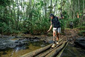 BIB: 
                            <button type="button" onclick="openModal(26500724)" class="btn btn-primary btn-sm float-right btn-popup" data-toggle="modal" data-target=".modal-high-quality">
                        <i class="fas fa-shopping-cart"></i> Add to Cart
                    </button>
                                            <button type="button" onclick="isThisMe(26500724, true)" class="btn btn-success btn-sm float-right btn-popup btn-isme hidden" data-toggle="tooltip" data-placement="bottom" title="นี่คือรูปของคุณใช่ไหม คลิกที่นี่เพื่อเอาเข้าอัลบั้ม">
                        <i class="fas fa-plus"></i> Add to album
                    </button>
                    <button type="button" onclick="isThisMe(26500724, false)" class="btn btn-warning btn-sm float-right btn-popup btn-isnotme hidden">
                        <i class="fas fa-ban"></i> Remove from album
                    </button>