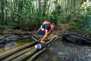 BIB: 
                            <button type="button" onclick="openModal(26442103)" class="btn btn-primary btn-sm float-right btn-popup" data-toggle="modal" data-target=".modal-high-quality">
                        <i class="fas fa-shopping-cart"></i> Add to Cart
                    </button>
                                            <button type="button" onclick="isThisMe(26442103, true)" class="btn btn-success btn-sm float-right btn-popup btn-isme hidden" data-toggle="tooltip" data-placement="bottom" title="นี่คือรูปของคุณใช่ไหม คลิกที่นี่เพื่อเอาเข้าอัลบั้ม">
                        <i class="fas fa-plus"></i> Add to album
                    </button>
                    <button type="button" onclick="isThisMe(26442103, false)" class="btn btn-warning btn-sm float-right btn-popup btn-isnotme hidden">
                        <i class="fas fa-ban"></i> Remove from album
                    </button>