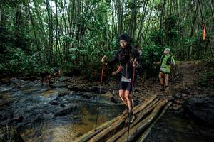 BIB: 
                            <button type="button" onclick="openModal(26491621)" class="btn btn-primary btn-sm float-right btn-popup" data-toggle="modal" data-target=".modal-high-quality">
                        <i class="fas fa-shopping-cart"></i> Add to Cart
                    </button>
                                            <button type="button" onclick="isThisMe(26491621, true)" class="btn btn-success btn-sm float-right btn-popup btn-isme hidden" data-toggle="tooltip" data-placement="bottom" title="นี่คือรูปของคุณใช่ไหม คลิกที่นี่เพื่อเอาเข้าอัลบั้ม">
                        <i class="fas fa-plus"></i> Add to album
                    </button>
                    <button type="button" onclick="isThisMe(26491621, false)" class="btn btn-warning btn-sm float-right btn-popup btn-isnotme hidden">
                        <i class="fas fa-ban"></i> Remove from album
                    </button>