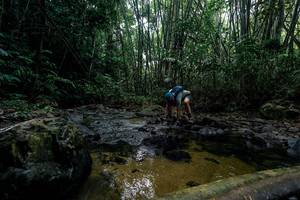 BIB: 
                            <button type="button" onclick="openModal(26434821)" class="btn btn-primary btn-sm float-right btn-popup" data-toggle="modal" data-target=".modal-high-quality">
                        <i class="fas fa-shopping-cart"></i> Add to Cart
                    </button>
                                            <button type="button" onclick="isThisMe(26434821, true)" class="btn btn-success btn-sm float-right btn-popup btn-isme hidden" data-toggle="tooltip" data-placement="bottom" title="นี่คือรูปของคุณใช่ไหม คลิกที่นี่เพื่อเอาเข้าอัลบั้ม">
                        <i class="fas fa-plus"></i> Add to album
                    </button>
                    <button type="button" onclick="isThisMe(26434821, false)" class="btn btn-warning btn-sm float-right btn-popup btn-isnotme hidden">
                        <i class="fas fa-ban"></i> Remove from album
                    </button>