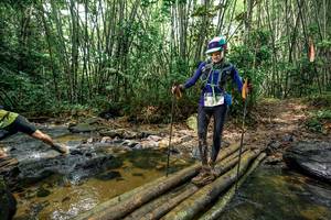 BIB: 
                            <button type="button" onclick="openModal(26442450)" class="btn btn-primary btn-sm float-right btn-popup" data-toggle="modal" data-target=".modal-high-quality">
                        <i class="fas fa-shopping-cart"></i> Add to Cart
                    </button>
                                            <button type="button" onclick="isThisMe(26442450, true)" class="btn btn-success btn-sm float-right btn-popup btn-isme hidden" data-toggle="tooltip" data-placement="bottom" title="นี่คือรูปของคุณใช่ไหม คลิกที่นี่เพื่อเอาเข้าอัลบั้ม">
                        <i class="fas fa-plus"></i> Add to album
                    </button>
                    <button type="button" onclick="isThisMe(26442450, false)" class="btn btn-warning btn-sm float-right btn-popup btn-isnotme hidden">
                        <i class="fas fa-ban"></i> Remove from album
                    </button>