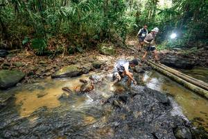 BIB: 
                            <button type="button" onclick="openModal(26443326)" class="btn btn-primary btn-sm float-right btn-popup" data-toggle="modal" data-target=".modal-high-quality">
                        <i class="fas fa-shopping-cart"></i> Add to Cart
                    </button>
                                            <button type="button" onclick="isThisMe(26443326, true)" class="btn btn-success btn-sm float-right btn-popup btn-isme hidden" data-toggle="tooltip" data-placement="bottom" title="นี่คือรูปของคุณใช่ไหม คลิกที่นี่เพื่อเอาเข้าอัลบั้ม">
                        <i class="fas fa-plus"></i> Add to album
                    </button>
                    <button type="button" onclick="isThisMe(26443326, false)" class="btn btn-warning btn-sm float-right btn-popup btn-isnotme hidden">
                        <i class="fas fa-ban"></i> Remove from album
                    </button>