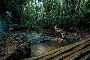 BIB: 
                            <button type="button" onclick="openModal(26494172)" class="btn btn-primary btn-sm float-right btn-popup" data-toggle="modal" data-target=".modal-high-quality">
                        <i class="fas fa-shopping-cart"></i> Add to Cart
                    </button>
                                            <button type="button" onclick="isThisMe(26494172, true)" class="btn btn-success btn-sm float-right btn-popup btn-isme hidden" data-toggle="tooltip" data-placement="bottom" title="นี่คือรูปของคุณใช่ไหม คลิกที่นี่เพื่อเอาเข้าอัลบั้ม">
                        <i class="fas fa-plus"></i> Add to album
                    </button>
                    <button type="button" onclick="isThisMe(26494172, false)" class="btn btn-warning btn-sm float-right btn-popup btn-isnotme hidden">
                        <i class="fas fa-ban"></i> Remove from album
                    </button>