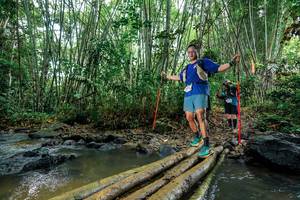 BIB: 
                            <button type="button" onclick="openModal(26479214)" class="btn btn-primary btn-sm float-right btn-popup" data-toggle="modal" data-target=".modal-high-quality">
                        <i class="fas fa-shopping-cart"></i> Add to Cart
                    </button>
                                            <button type="button" onclick="isThisMe(26479214, true)" class="btn btn-success btn-sm float-right btn-popup btn-isme hidden" data-toggle="tooltip" data-placement="bottom" title="นี่คือรูปของคุณใช่ไหม คลิกที่นี่เพื่อเอาเข้าอัลบั้ม">
                        <i class="fas fa-plus"></i> Add to album
                    </button>
                    <button type="button" onclick="isThisMe(26479214, false)" class="btn btn-warning btn-sm float-right btn-popup btn-isnotme hidden">
                        <i class="fas fa-ban"></i> Remove from album
                    </button>