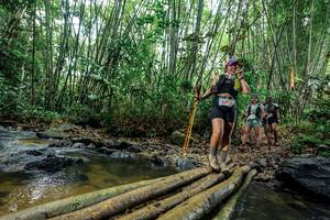 BIB: 
                            <button type="button" onclick="openModal(26464557)" class="btn btn-primary btn-sm float-right btn-popup" data-toggle="modal" data-target=".modal-high-quality">
                        <i class="fas fa-shopping-cart"></i> Add to Cart
                    </button>
                                            <button type="button" onclick="isThisMe(26464557, true)" class="btn btn-success btn-sm float-right btn-popup btn-isme hidden" data-toggle="tooltip" data-placement="bottom" title="นี่คือรูปของคุณใช่ไหม คลิกที่นี่เพื่อเอาเข้าอัลบั้ม">
                        <i class="fas fa-plus"></i> Add to album
                    </button>
                    <button type="button" onclick="isThisMe(26464557, false)" class="btn btn-warning btn-sm float-right btn-popup btn-isnotme hidden">
                        <i class="fas fa-ban"></i> Remove from album
                    </button>