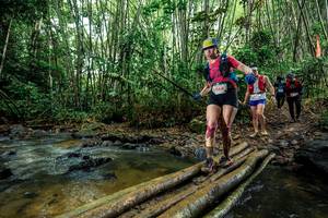 BIB: 
                            <button type="button" onclick="openModal(26504098)" class="btn btn-primary btn-sm float-right btn-popup" data-toggle="modal" data-target=".modal-high-quality">
                        <i class="fas fa-shopping-cart"></i> Add to Cart
                    </button>
                                            <button type="button" onclick="isThisMe(26504098, true)" class="btn btn-success btn-sm float-right btn-popup btn-isme hidden" data-toggle="tooltip" data-placement="bottom" title="นี่คือรูปของคุณใช่ไหม คลิกที่นี่เพื่อเอาเข้าอัลบั้ม">
                        <i class="fas fa-plus"></i> Add to album
                    </button>
                    <button type="button" onclick="isThisMe(26504098, false)" class="btn btn-warning btn-sm float-right btn-popup btn-isnotme hidden">
                        <i class="fas fa-ban"></i> Remove from album
                    </button>