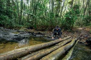 BIB: 
                            <button type="button" onclick="openModal(26437089)" class="btn btn-primary btn-sm float-right btn-popup" data-toggle="modal" data-target=".modal-high-quality">
                        <i class="fas fa-shopping-cart"></i> Add to Cart
                    </button>
                                            <button type="button" onclick="isThisMe(26437089, true)" class="btn btn-success btn-sm float-right btn-popup btn-isme hidden" data-toggle="tooltip" data-placement="bottom" title="นี่คือรูปของคุณใช่ไหม คลิกที่นี่เพื่อเอาเข้าอัลบั้ม">
                        <i class="fas fa-plus"></i> Add to album
                    </button>
                    <button type="button" onclick="isThisMe(26437089, false)" class="btn btn-warning btn-sm float-right btn-popup btn-isnotme hidden">
                        <i class="fas fa-ban"></i> Remove from album
                    </button>