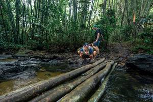 BIB: 
                            <button type="button" onclick="openModal(26431946)" class="btn btn-primary btn-sm float-right btn-popup" data-toggle="modal" data-target=".modal-high-quality">
                        <i class="fas fa-shopping-cart"></i> Add to Cart
                    </button>
                                            <button type="button" onclick="isThisMe(26431946, true)" class="btn btn-success btn-sm float-right btn-popup btn-isme hidden" data-toggle="tooltip" data-placement="bottom" title="นี่คือรูปของคุณใช่ไหม คลิกที่นี่เพื่อเอาเข้าอัลบั้ม">
                        <i class="fas fa-plus"></i> Add to album
                    </button>
                    <button type="button" onclick="isThisMe(26431946, false)" class="btn btn-warning btn-sm float-right btn-popup btn-isnotme hidden">
                        <i class="fas fa-ban"></i> Remove from album
                    </button>