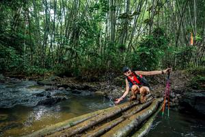 BIB: 
                            <button type="button" onclick="openModal(26478861)" class="btn btn-primary btn-sm float-right btn-popup" data-toggle="modal" data-target=".modal-high-quality">
                        <i class="fas fa-shopping-cart"></i> Add to Cart
                    </button>
                                            <button type="button" onclick="isThisMe(26478861, true)" class="btn btn-success btn-sm float-right btn-popup btn-isme hidden" data-toggle="tooltip" data-placement="bottom" title="นี่คือรูปของคุณใช่ไหม คลิกที่นี่เพื่อเอาเข้าอัลบั้ม">
                        <i class="fas fa-plus"></i> Add to album
                    </button>
                    <button type="button" onclick="isThisMe(26478861, false)" class="btn btn-warning btn-sm float-right btn-popup btn-isnotme hidden">
                        <i class="fas fa-ban"></i> Remove from album
                    </button>