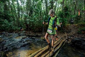 BIB: 
                            <button type="button" onclick="openModal(26491748)" class="btn btn-primary btn-sm float-right btn-popup" data-toggle="modal" data-target=".modal-high-quality">
                        <i class="fas fa-shopping-cart"></i> Add to Cart
                    </button>
                                            <button type="button" onclick="isThisMe(26491748, true)" class="btn btn-success btn-sm float-right btn-popup btn-isme hidden" data-toggle="tooltip" data-placement="bottom" title="นี่คือรูปของคุณใช่ไหม คลิกที่นี่เพื่อเอาเข้าอัลบั้ม">
                        <i class="fas fa-plus"></i> Add to album
                    </button>
                    <button type="button" onclick="isThisMe(26491748, false)" class="btn btn-warning btn-sm float-right btn-popup btn-isnotme hidden">
                        <i class="fas fa-ban"></i> Remove from album
                    </button>