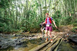 BIB: 
                            <button type="button" onclick="openModal(26439746)" class="btn btn-primary btn-sm float-right btn-popup" data-toggle="modal" data-target=".modal-high-quality">
                        <i class="fas fa-shopping-cart"></i> Add to Cart
                    </button>
                                            <button type="button" onclick="isThisMe(26439746, true)" class="btn btn-success btn-sm float-right btn-popup btn-isme hidden" data-toggle="tooltip" data-placement="bottom" title="นี่คือรูปของคุณใช่ไหม คลิกที่นี่เพื่อเอาเข้าอัลบั้ม">
                        <i class="fas fa-plus"></i> Add to album
                    </button>
                    <button type="button" onclick="isThisMe(26439746, false)" class="btn btn-warning btn-sm float-right btn-popup btn-isnotme hidden">
                        <i class="fas fa-ban"></i> Remove from album
                    </button>