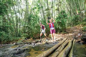 BIB: 
                            <button type="button" onclick="openModal(26439438)" class="btn btn-primary btn-sm float-right btn-popup" data-toggle="modal" data-target=".modal-high-quality">
                        <i class="fas fa-shopping-cart"></i> Add to Cart
                    </button>
                                            <button type="button" onclick="isThisMe(26439438, true)" class="btn btn-success btn-sm float-right btn-popup btn-isme hidden" data-toggle="tooltip" data-placement="bottom" title="นี่คือรูปของคุณใช่ไหม คลิกที่นี่เพื่อเอาเข้าอัลบั้ม">
                        <i class="fas fa-plus"></i> Add to album
                    </button>
                    <button type="button" onclick="isThisMe(26439438, false)" class="btn btn-warning btn-sm float-right btn-popup btn-isnotme hidden">
                        <i class="fas fa-ban"></i> Remove from album
                    </button>