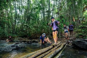 BIB: 
                            <button type="button" onclick="openModal(26490257)" class="btn btn-primary btn-sm float-right btn-popup" data-toggle="modal" data-target=".modal-high-quality">
                        <i class="fas fa-shopping-cart"></i> Add to Cart
                    </button>
                                            <button type="button" onclick="isThisMe(26490257, true)" class="btn btn-success btn-sm float-right btn-popup btn-isme hidden" data-toggle="tooltip" data-placement="bottom" title="นี่คือรูปของคุณใช่ไหม คลิกที่นี่เพื่อเอาเข้าอัลบั้ม">
                        <i class="fas fa-plus"></i> Add to album
                    </button>
                    <button type="button" onclick="isThisMe(26490257, false)" class="btn btn-warning btn-sm float-right btn-popup btn-isnotme hidden">
                        <i class="fas fa-ban"></i> Remove from album
                    </button>