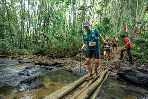 BIB: 
                            <button type="button" onclick="openModal(26501757)" class="btn btn-primary btn-sm float-right btn-popup" data-toggle="modal" data-target=".modal-high-quality">
                        <i class="fas fa-shopping-cart"></i> Add to Cart
                    </button>
                                            <button type="button" onclick="isThisMe(26501757, true)" class="btn btn-success btn-sm float-right btn-popup btn-isme hidden" data-toggle="tooltip" data-placement="bottom" title="นี่คือรูปของคุณใช่ไหม คลิกที่นี่เพื่อเอาเข้าอัลบั้ม">
                        <i class="fas fa-plus"></i> Add to album
                    </button>
                    <button type="button" onclick="isThisMe(26501757, false)" class="btn btn-warning btn-sm float-right btn-popup btn-isnotme hidden">
                        <i class="fas fa-ban"></i> Remove from album
                    </button>