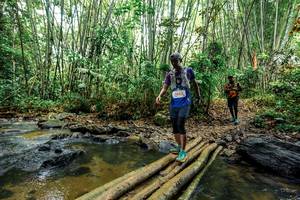 BIB: 
                            <button type="button" onclick="openModal(26446921)" class="btn btn-primary btn-sm float-right btn-popup" data-toggle="modal" data-target=".modal-high-quality">
                        <i class="fas fa-shopping-cart"></i> Add to Cart
                    </button>
                                            <button type="button" onclick="isThisMe(26446921, true)" class="btn btn-success btn-sm float-right btn-popup btn-isme hidden" data-toggle="tooltip" data-placement="bottom" title="นี่คือรูปของคุณใช่ไหม คลิกที่นี่เพื่อเอาเข้าอัลบั้ม">
                        <i class="fas fa-plus"></i> Add to album
                    </button>
                    <button type="button" onclick="isThisMe(26446921, false)" class="btn btn-warning btn-sm float-right btn-popup btn-isnotme hidden">
                        <i class="fas fa-ban"></i> Remove from album
                    </button>