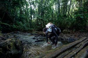 BIB: 
                            <button type="button" onclick="openModal(26427533)" class="btn btn-primary btn-sm float-right btn-popup" data-toggle="modal" data-target=".modal-high-quality">
                        <i class="fas fa-shopping-cart"></i> Add to Cart
                    </button>
                                            <button type="button" onclick="isThisMe(26427533, true)" class="btn btn-success btn-sm float-right btn-popup btn-isme hidden" data-toggle="tooltip" data-placement="bottom" title="นี่คือรูปของคุณใช่ไหม คลิกที่นี่เพื่อเอาเข้าอัลบั้ม">
                        <i class="fas fa-plus"></i> Add to album
                    </button>
                    <button type="button" onclick="isThisMe(26427533, false)" class="btn btn-warning btn-sm float-right btn-popup btn-isnotme hidden">
                        <i class="fas fa-ban"></i> Remove from album
                    </button>