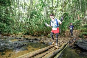 BIB: 
                            <button type="button" onclick="openModal(26503252)" class="btn btn-primary btn-sm float-right btn-popup" data-toggle="modal" data-target=".modal-high-quality">
                        <i class="fas fa-shopping-cart"></i> Add to Cart
                    </button>
                                            <button type="button" onclick="isThisMe(26503252, true)" class="btn btn-success btn-sm float-right btn-popup btn-isme hidden" data-toggle="tooltip" data-placement="bottom" title="นี่คือรูปของคุณใช่ไหม คลิกที่นี่เพื่อเอาเข้าอัลบั้ม">
                        <i class="fas fa-plus"></i> Add to album
                    </button>
                    <button type="button" onclick="isThisMe(26503252, false)" class="btn btn-warning btn-sm float-right btn-popup btn-isnotme hidden">
                        <i class="fas fa-ban"></i> Remove from album
                    </button>