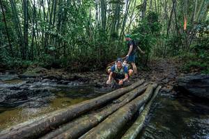 BIB: 
                            <button type="button" onclick="openModal(26431986)" class="btn btn-primary btn-sm float-right btn-popup" data-toggle="modal" data-target=".modal-high-quality">
                        <i class="fas fa-shopping-cart"></i> Add to Cart
                    </button>
                                            <button type="button" onclick="isThisMe(26431986, true)" class="btn btn-success btn-sm float-right btn-popup btn-isme hidden" data-toggle="tooltip" data-placement="bottom" title="นี่คือรูปของคุณใช่ไหม คลิกที่นี่เพื่อเอาเข้าอัลบั้ม">
                        <i class="fas fa-plus"></i> Add to album
                    </button>
                    <button type="button" onclick="isThisMe(26431986, false)" class="btn btn-warning btn-sm float-right btn-popup btn-isnotme hidden">
                        <i class="fas fa-ban"></i> Remove from album
                    </button>