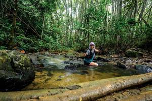 BIB: 
                            <button type="button" onclick="openModal(26505486)" class="btn btn-primary btn-sm float-right btn-popup" data-toggle="modal" data-target=".modal-high-quality">
                        <i class="fas fa-shopping-cart"></i> Add to Cart
                    </button>
                                            <button type="button" onclick="isThisMe(26505486, true)" class="btn btn-success btn-sm float-right btn-popup btn-isme hidden" data-toggle="tooltip" data-placement="bottom" title="นี่คือรูปของคุณใช่ไหม คลิกที่นี่เพื่อเอาเข้าอัลบั้ม">
                        <i class="fas fa-plus"></i> Add to album
                    </button>
                    <button type="button" onclick="isThisMe(26505486, false)" class="btn btn-warning btn-sm float-right btn-popup btn-isnotme hidden">
                        <i class="fas fa-ban"></i> Remove from album
                    </button>