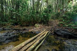 BIB: 
                            <button type="button" onclick="openModal(26441223)" class="btn btn-primary btn-sm float-right btn-popup" data-toggle="modal" data-target=".modal-high-quality">
                        <i class="fas fa-shopping-cart"></i> Add to Cart
                    </button>
                                            <button type="button" onclick="isThisMe(26441223, true)" class="btn btn-success btn-sm float-right btn-popup btn-isme hidden" data-toggle="tooltip" data-placement="bottom" title="นี่คือรูปของคุณใช่ไหม คลิกที่นี่เพื่อเอาเข้าอัลบั้ม">
                        <i class="fas fa-plus"></i> Add to album
                    </button>
                    <button type="button" onclick="isThisMe(26441223, false)" class="btn btn-warning btn-sm float-right btn-popup btn-isnotme hidden">
                        <i class="fas fa-ban"></i> Remove from album
                    </button>