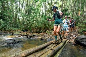 BIB: 
                            <button type="button" onclick="openModal(26445493)" class="btn btn-primary btn-sm float-right btn-popup" data-toggle="modal" data-target=".modal-high-quality">
                        <i class="fas fa-shopping-cart"></i> Add to Cart
                    </button>
                                            <button type="button" onclick="isThisMe(26445493, true)" class="btn btn-success btn-sm float-right btn-popup btn-isme hidden" data-toggle="tooltip" data-placement="bottom" title="นี่คือรูปของคุณใช่ไหม คลิกที่นี่เพื่อเอาเข้าอัลบั้ม">
                        <i class="fas fa-plus"></i> Add to album
                    </button>
                    <button type="button" onclick="isThisMe(26445493, false)" class="btn btn-warning btn-sm float-right btn-popup btn-isnotme hidden">
                        <i class="fas fa-ban"></i> Remove from album
                    </button>