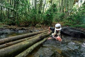 BIB: 
                            <button type="button" onclick="openModal(26436705)" class="btn btn-primary btn-sm float-right btn-popup" data-toggle="modal" data-target=".modal-high-quality">
                        <i class="fas fa-shopping-cart"></i> Add to Cart
                    </button>
                                            <button type="button" onclick="isThisMe(26436705, true)" class="btn btn-success btn-sm float-right btn-popup btn-isme hidden" data-toggle="tooltip" data-placement="bottom" title="นี่คือรูปของคุณใช่ไหม คลิกที่นี่เพื่อเอาเข้าอัลบั้ม">
                        <i class="fas fa-plus"></i> Add to album
                    </button>
                    <button type="button" onclick="isThisMe(26436705, false)" class="btn btn-warning btn-sm float-right btn-popup btn-isnotme hidden">
                        <i class="fas fa-ban"></i> Remove from album
                    </button>