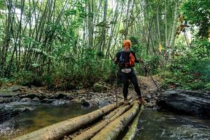 BIB: 
                            <button type="button" onclick="openModal(26462337)" class="btn btn-primary btn-sm float-right btn-popup" data-toggle="modal" data-target=".modal-high-quality">
                        <i class="fas fa-shopping-cart"></i> Add to Cart
                    </button>
                                            <button type="button" onclick="isThisMe(26462337, true)" class="btn btn-success btn-sm float-right btn-popup btn-isme hidden" data-toggle="tooltip" data-placement="bottom" title="นี่คือรูปของคุณใช่ไหม คลิกที่นี่เพื่อเอาเข้าอัลบั้ม">
                        <i class="fas fa-plus"></i> Add to album
                    </button>
                    <button type="button" onclick="isThisMe(26462337, false)" class="btn btn-warning btn-sm float-right btn-popup btn-isnotme hidden">
                        <i class="fas fa-ban"></i> Remove from album
                    </button>