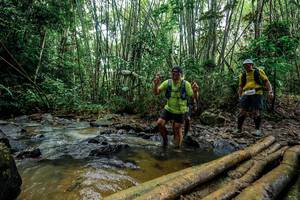 BIB: 
                            <button type="button" onclick="openModal(26455559)" class="btn btn-primary btn-sm float-right btn-popup" data-toggle="modal" data-target=".modal-high-quality">
                        <i class="fas fa-shopping-cart"></i> Add to Cart
                    </button>
                                            <button type="button" onclick="isThisMe(26455559, true)" class="btn btn-success btn-sm float-right btn-popup btn-isme hidden" data-toggle="tooltip" data-placement="bottom" title="นี่คือรูปของคุณใช่ไหม คลิกที่นี่เพื่อเอาเข้าอัลบั้ม">
                        <i class="fas fa-plus"></i> Add to album
                    </button>
                    <button type="button" onclick="isThisMe(26455559, false)" class="btn btn-warning btn-sm float-right btn-popup btn-isnotme hidden">
                        <i class="fas fa-ban"></i> Remove from album
                    </button>