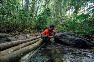 BIB: 
                            <button type="button" onclick="openModal(26425011)" class="btn btn-primary btn-sm float-right btn-popup" data-toggle="modal" data-target=".modal-high-quality">
                        <i class="fas fa-shopping-cart"></i> Add to Cart
                    </button>
                                            <button type="button" onclick="isThisMe(26425011, true)" class="btn btn-success btn-sm float-right btn-popup btn-isme hidden" data-toggle="tooltip" data-placement="bottom" title="นี่คือรูปของคุณใช่ไหม คลิกที่นี่เพื่อเอาเข้าอัลบั้ม">
                        <i class="fas fa-plus"></i> Add to album
                    </button>
                    <button type="button" onclick="isThisMe(26425011, false)" class="btn btn-warning btn-sm float-right btn-popup btn-isnotme hidden">
                        <i class="fas fa-ban"></i> Remove from album
                    </button>