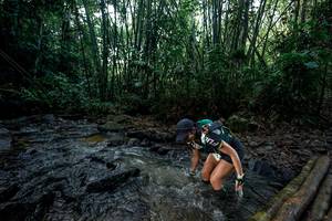 BIB: 
                            <button type="button" onclick="openModal(26429828)" class="btn btn-primary btn-sm float-right btn-popup" data-toggle="modal" data-target=".modal-high-quality">
                        <i class="fas fa-shopping-cart"></i> Add to Cart
                    </button>
                                            <button type="button" onclick="isThisMe(26429828, true)" class="btn btn-success btn-sm float-right btn-popup btn-isme hidden" data-toggle="tooltip" data-placement="bottom" title="นี่คือรูปของคุณใช่ไหม คลิกที่นี่เพื่อเอาเข้าอัลบั้ม">
                        <i class="fas fa-plus"></i> Add to album
                    </button>
                    <button type="button" onclick="isThisMe(26429828, false)" class="btn btn-warning btn-sm float-right btn-popup btn-isnotme hidden">
                        <i class="fas fa-ban"></i> Remove from album
                    </button>