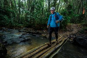 BIB: 
                            <button type="button" onclick="openModal(26494636)" class="btn btn-primary btn-sm float-right btn-popup" data-toggle="modal" data-target=".modal-high-quality">
                        <i class="fas fa-shopping-cart"></i> Add to Cart
                    </button>
                                            <button type="button" onclick="isThisMe(26494636, true)" class="btn btn-success btn-sm float-right btn-popup btn-isme hidden" data-toggle="tooltip" data-placement="bottom" title="นี่คือรูปของคุณใช่ไหม คลิกที่นี่เพื่อเอาเข้าอัลบั้ม">
                        <i class="fas fa-plus"></i> Add to album
                    </button>
                    <button type="button" onclick="isThisMe(26494636, false)" class="btn btn-warning btn-sm float-right btn-popup btn-isnotme hidden">
                        <i class="fas fa-ban"></i> Remove from album
                    </button>