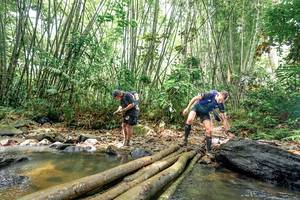 BIB: 
                            <button type="button" onclick="openModal(26443660)" class="btn btn-primary btn-sm float-right btn-popup" data-toggle="modal" data-target=".modal-high-quality">
                        <i class="fas fa-shopping-cart"></i> Add to Cart
                    </button>
                                            <button type="button" onclick="isThisMe(26443660, true)" class="btn btn-success btn-sm float-right btn-popup btn-isme hidden" data-toggle="tooltip" data-placement="bottom" title="นี่คือรูปของคุณใช่ไหม คลิกที่นี่เพื่อเอาเข้าอัลบั้ม">
                        <i class="fas fa-plus"></i> Add to album
                    </button>
                    <button type="button" onclick="isThisMe(26443660, false)" class="btn btn-warning btn-sm float-right btn-popup btn-isnotme hidden">
                        <i class="fas fa-ban"></i> Remove from album
                    </button>