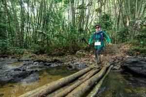 BIB: 
                            <button type="button" onclick="openModal(26445887)" class="btn btn-primary btn-sm float-right btn-popup" data-toggle="modal" data-target=".modal-high-quality">
                        <i class="fas fa-shopping-cart"></i> Add to Cart
                    </button>
                                            <button type="button" onclick="isThisMe(26445887, true)" class="btn btn-success btn-sm float-right btn-popup btn-isme hidden" data-toggle="tooltip" data-placement="bottom" title="นี่คือรูปของคุณใช่ไหม คลิกที่นี่เพื่อเอาเข้าอัลบั้ม">
                        <i class="fas fa-plus"></i> Add to album
                    </button>
                    <button type="button" onclick="isThisMe(26445887, false)" class="btn btn-warning btn-sm float-right btn-popup btn-isnotme hidden">
                        <i class="fas fa-ban"></i> Remove from album
                    </button>