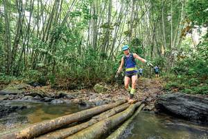 BIB: 
                            <button type="button" onclick="openModal(26435298)" class="btn btn-primary btn-sm float-right btn-popup" data-toggle="modal" data-target=".modal-high-quality">
                        <i class="fas fa-shopping-cart"></i> Add to Cart
                    </button>
                                            <button type="button" onclick="isThisMe(26435298, true)" class="btn btn-success btn-sm float-right btn-popup btn-isme hidden" data-toggle="tooltip" data-placement="bottom" title="นี่คือรูปของคุณใช่ไหม คลิกที่นี่เพื่อเอาเข้าอัลบั้ม">
                        <i class="fas fa-plus"></i> Add to album
                    </button>
                    <button type="button" onclick="isThisMe(26435298, false)" class="btn btn-warning btn-sm float-right btn-popup btn-isnotme hidden">
                        <i class="fas fa-ban"></i> Remove from album
                    </button>