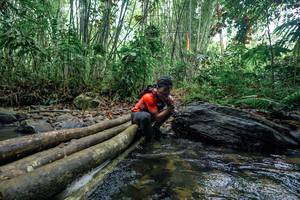 BIB: 
                            <button type="button" onclick="openModal(26425005)" class="btn btn-primary btn-sm float-right btn-popup" data-toggle="modal" data-target=".modal-high-quality">
                        <i class="fas fa-shopping-cart"></i> Add to Cart
                    </button>
                                            <button type="button" onclick="isThisMe(26425005, true)" class="btn btn-success btn-sm float-right btn-popup btn-isme hidden" data-toggle="tooltip" data-placement="bottom" title="นี่คือรูปของคุณใช่ไหม คลิกที่นี่เพื่อเอาเข้าอัลบั้ม">
                        <i class="fas fa-plus"></i> Add to album
                    </button>
                    <button type="button" onclick="isThisMe(26425005, false)" class="btn btn-warning btn-sm float-right btn-popup btn-isnotme hidden">
                        <i class="fas fa-ban"></i> Remove from album
                    </button>