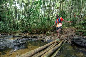 BIB: 
                            <button type="button" onclick="openModal(26500394)" class="btn btn-primary btn-sm float-right btn-popup" data-toggle="modal" data-target=".modal-high-quality">
                        <i class="fas fa-shopping-cart"></i> Add to Cart
                    </button>
                                            <button type="button" onclick="isThisMe(26500394, true)" class="btn btn-success btn-sm float-right btn-popup btn-isme hidden" data-toggle="tooltip" data-placement="bottom" title="นี่คือรูปของคุณใช่ไหม คลิกที่นี่เพื่อเอาเข้าอัลบั้ม">
                        <i class="fas fa-plus"></i> Add to album
                    </button>
                    <button type="button" onclick="isThisMe(26500394, false)" class="btn btn-warning btn-sm float-right btn-popup btn-isnotme hidden">
                        <i class="fas fa-ban"></i> Remove from album
                    </button>